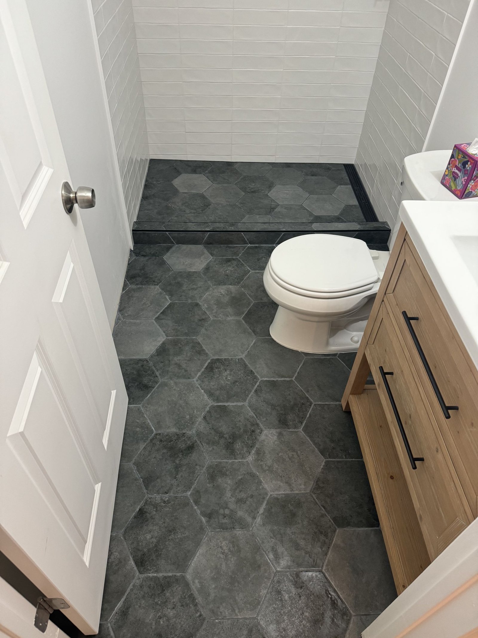 Eden Prairie Basement Bathroom Expansion