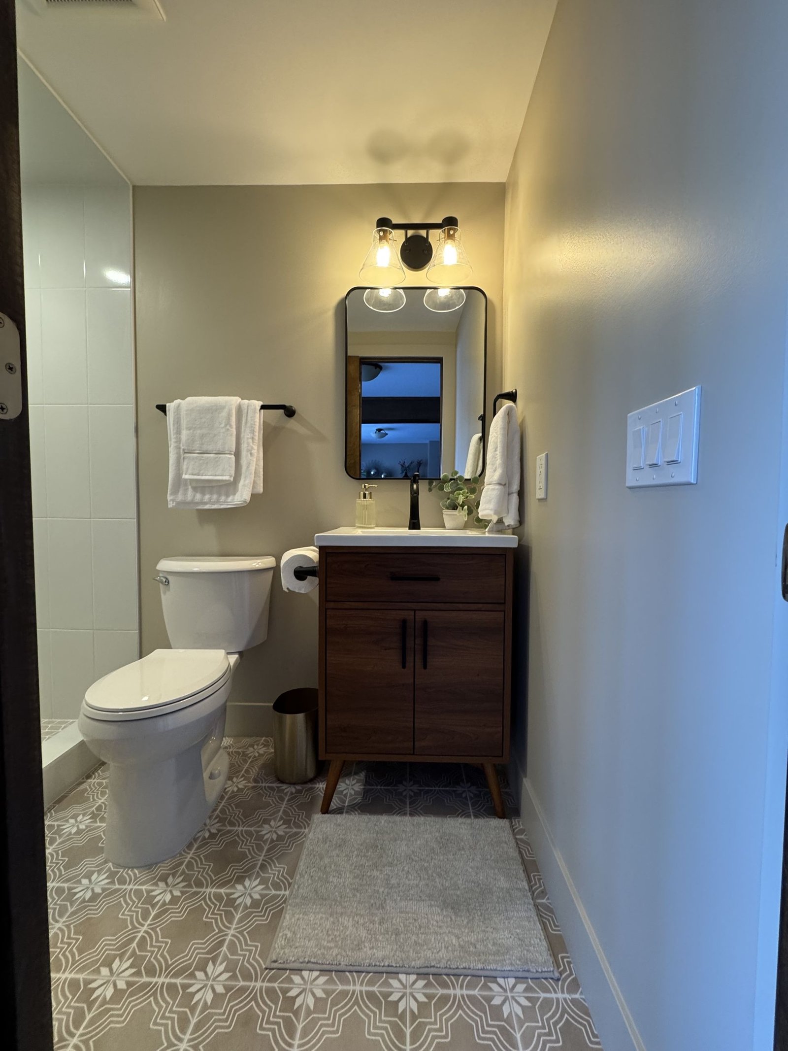 Maple Grove Basement Bathroom Upgrade