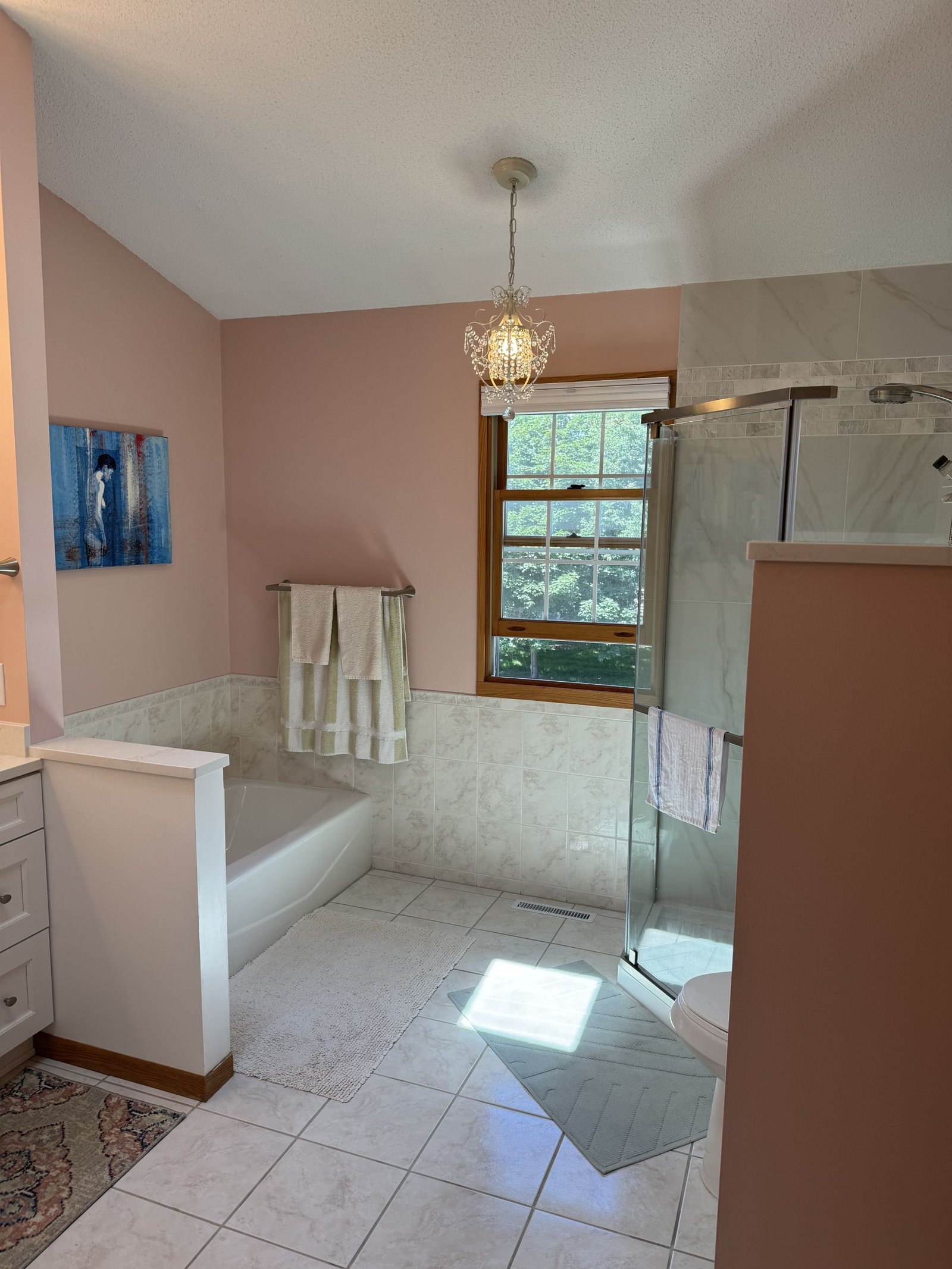 Eden Prairie Master Bath Storage