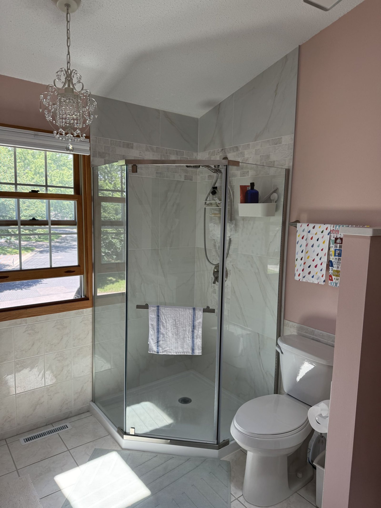 Eden Prairie Master Bath Storage
